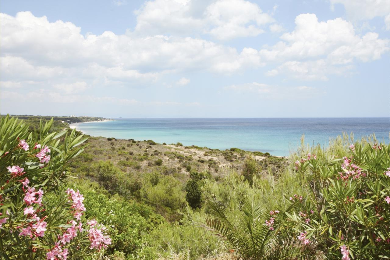 Pinus Village Sea Front Apartment Pula Εξωτερικό φωτογραφία